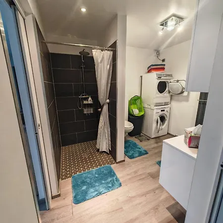 Appartement 5* Palmenoase Am Pool Im Elsass Blodelsheim